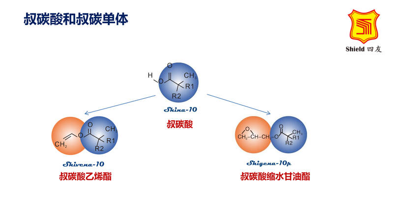 叔碳单体的特征和应用_00.png